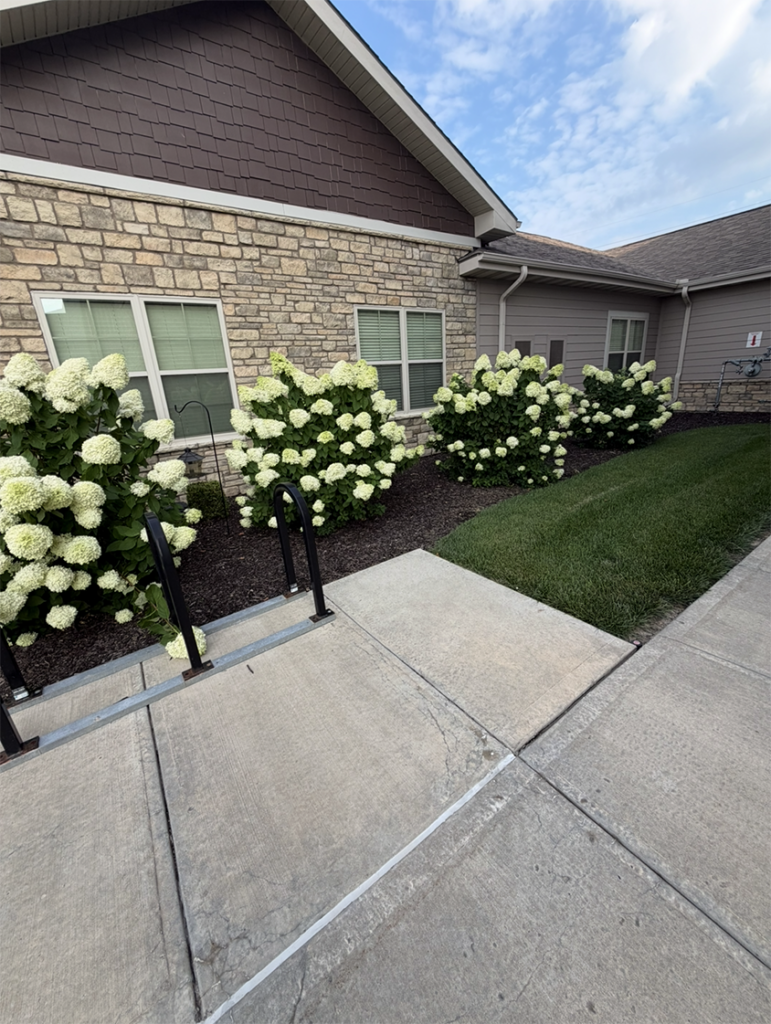 Discover how Arrow Senior Living creates positive first impressions through landscaping, lighting, and proactive maintenance.